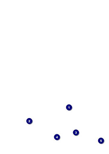 5050 Film Tour Postcard Front Field Markers